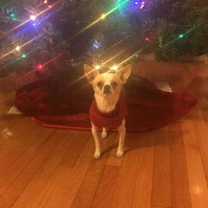 Meet your Posher, Georgette